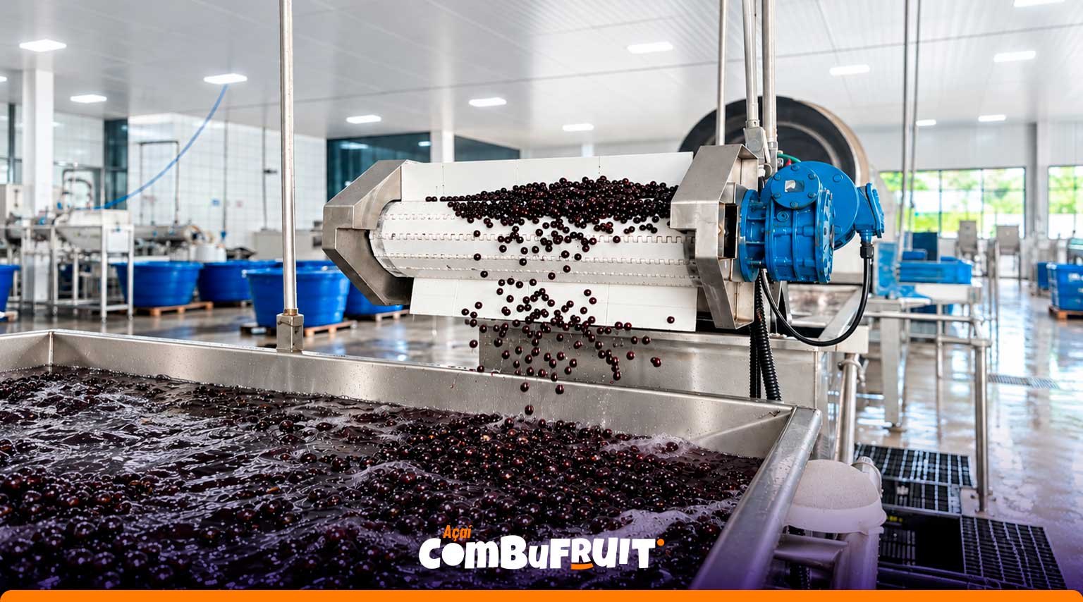 Processo de preparação de açaí por indústria