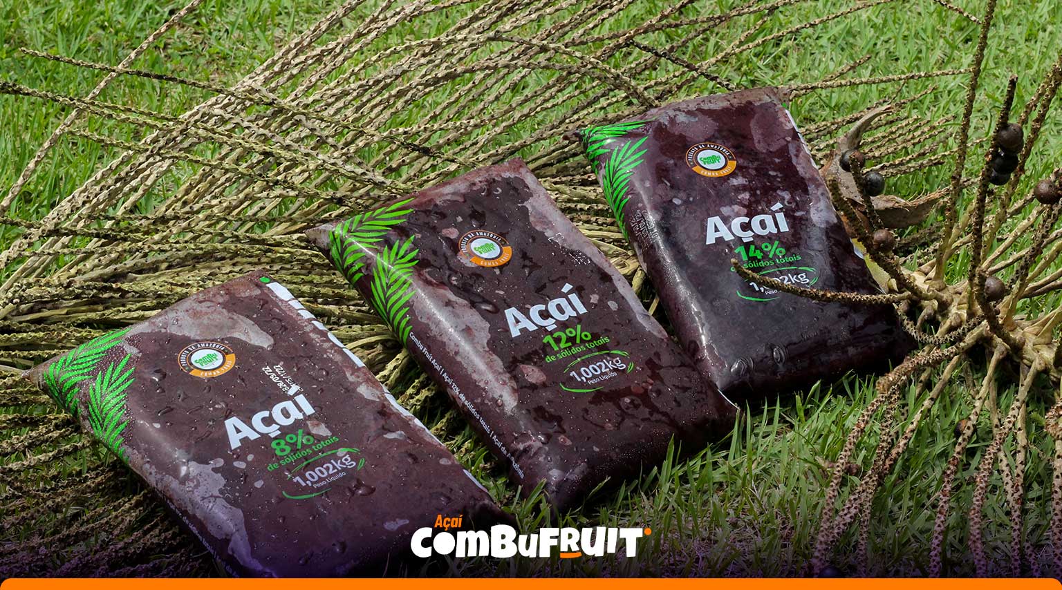 Três pacotes de polpa de açaí para indústrias de sorvete da Combu Fruit