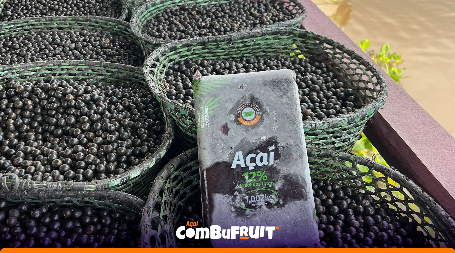Açaí Combu Fruit em cesta contendo matéria-prima recém-colhida